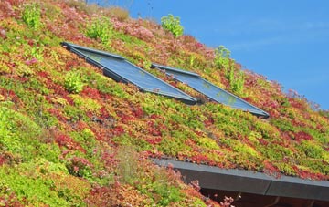 Stanford Bridge living roof systems