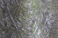 Stanford Bridge fibreglass roof work